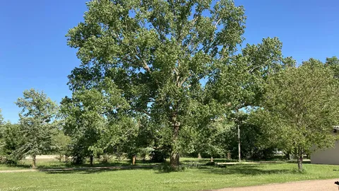 Tent Site — image 1 of 6