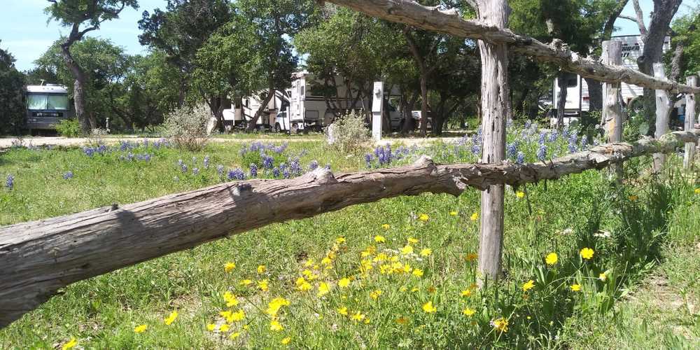 Patriot RV Park - Bertram - Photo 3