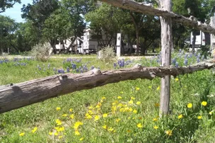 Patriot RV Park - Bertram – photo 3