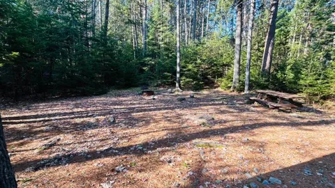 WOODED SITE 14 — image 2 of 4