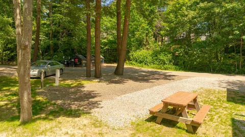 Premium Full Hookup 30/50amp RV Site — image 1 of 4