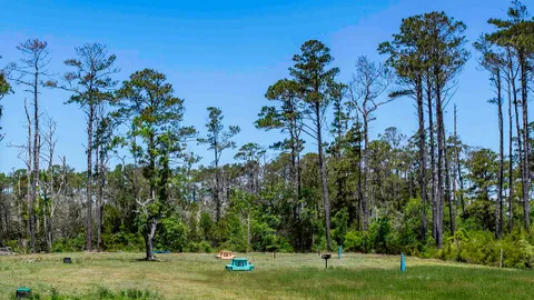 Tent Site w/ Water — image 2 of 7