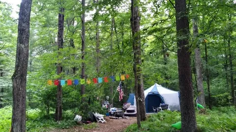Open Primitive Tent Site — image 1 of 2