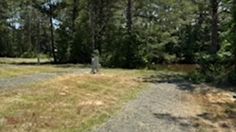 Pond Side — image 1 of 1