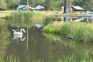 Camp Grizzly – photo 4
