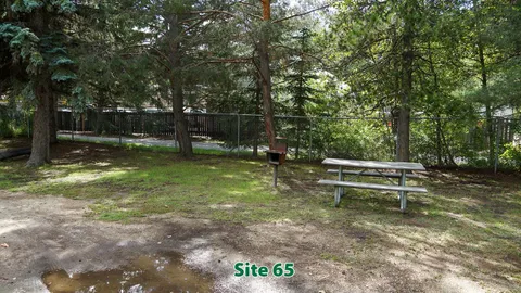 Walk-in Natural Tent Site — image 2 of 7