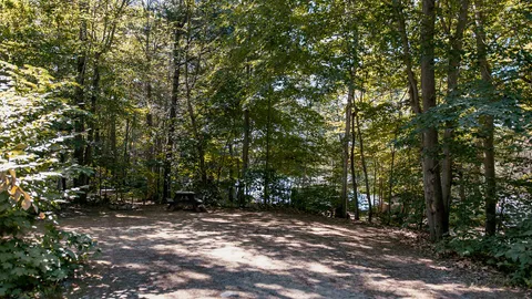 Water & Electric RV Site — image 3 of 3