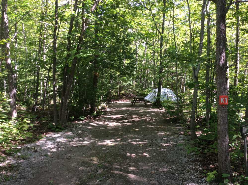Harmony Acres - Photo 2