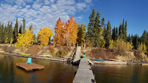 7 Fireweed Rustic Cabin — image 5 of 5