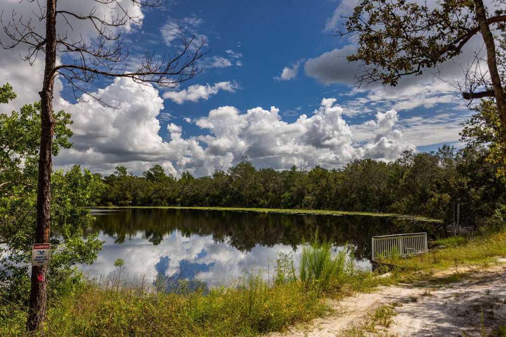 Paradise Lakes - Deltona, FL - Photo 4
