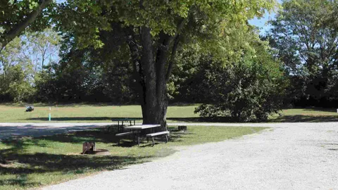 30/50 Amp Standard Pull-Through RV Site — image 5 of 5