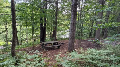 Remote Tent Site - Area B - Deer River — image 3 of 3