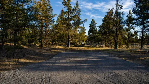 S2 – Premium 25×32 Back-In RV Site (Up to 32 ft) — image 1 of 10