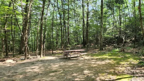 Water only Tent — image 2 of 3