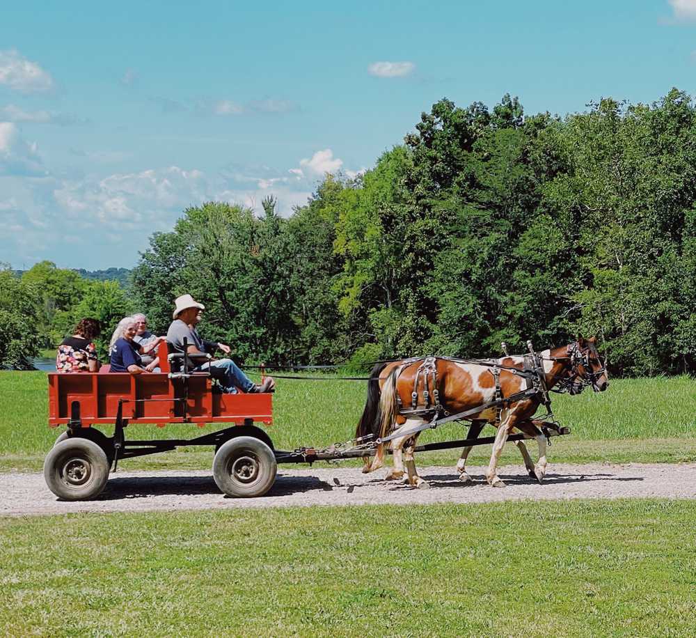 Cedar Lake Campground, Vienna, Illinois - Photo 5