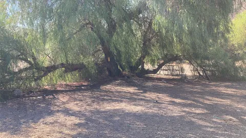 Gazebo Tent Site — image 1 of 23