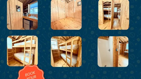 Bear Necessity Cabin 49 - Sleeps 6 — image 1 of 16