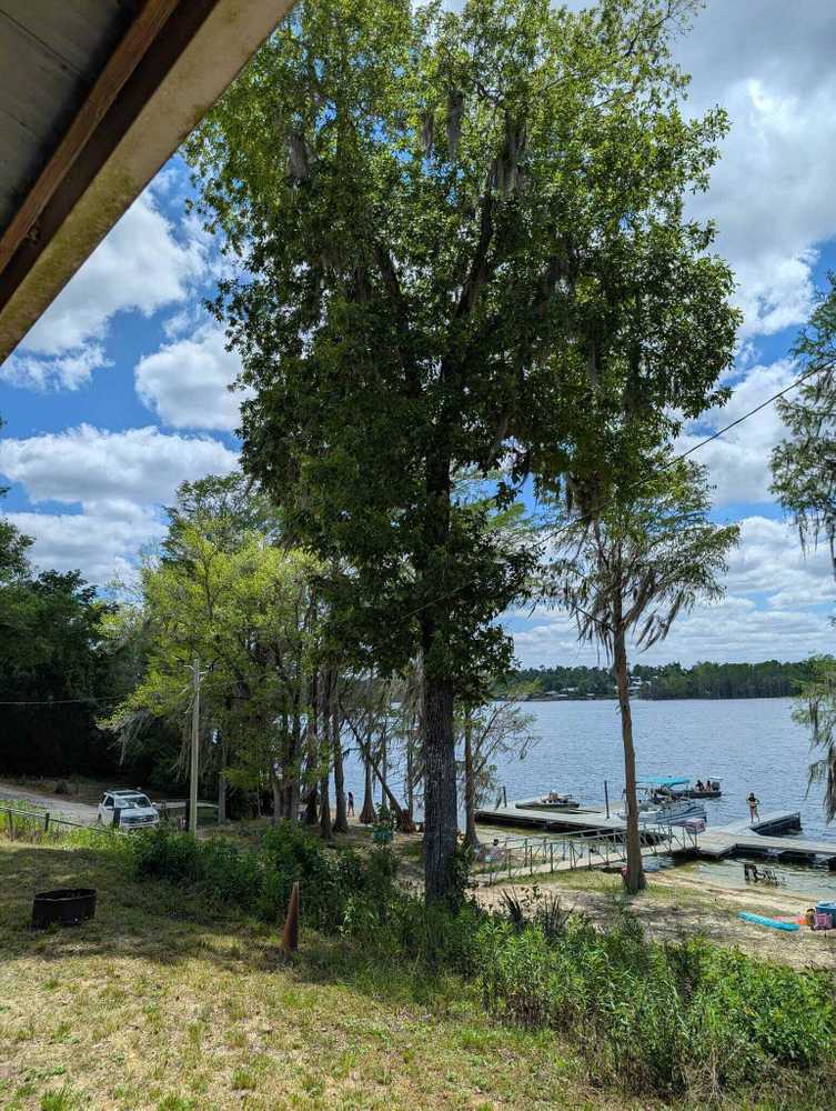 Blackbird's Hideaway Resorts and Graceville Campground - Graceville, FL - Photo 2