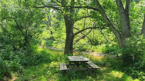 Fiddlehead Island Camping — image 1 of 1