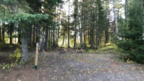 Primitive Tent Site — image 9 of 9