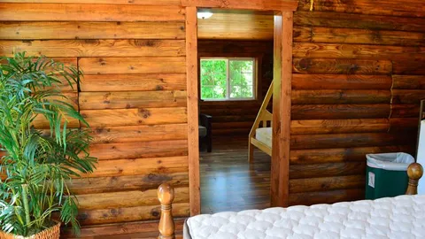 Rustic Cabin — image 2 of 8