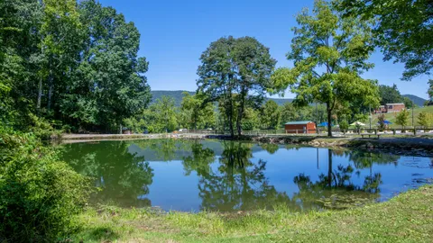 Yogi Bear Lakeside Family Lodge — image 16 of 16