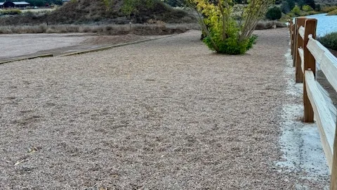 Riverfront Tent site — image 4 of 4
