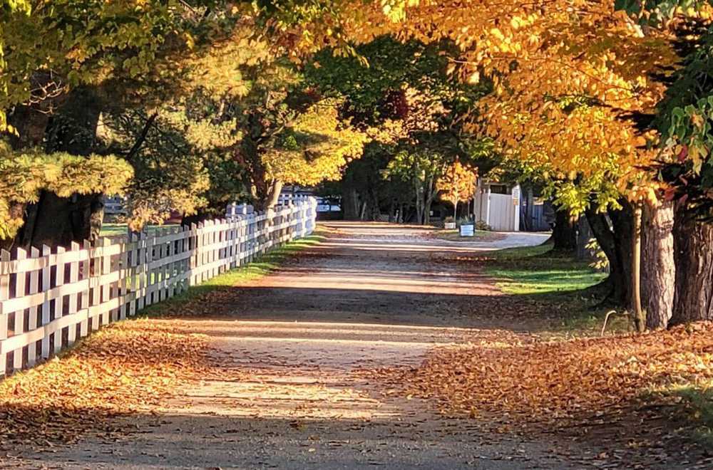 Riverbend Retreat, Biddeford, Maine - Photo 4