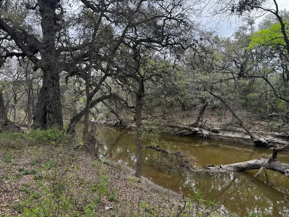 Dominion Oaks RV Park, San Antonio, Texas - Photo 2