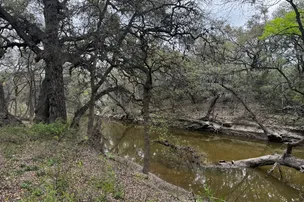 Dominion Oaks RV Park – photo 2