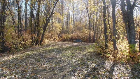 STANDARD POWER SITE - NON LAKESIDE — image 2 of 3