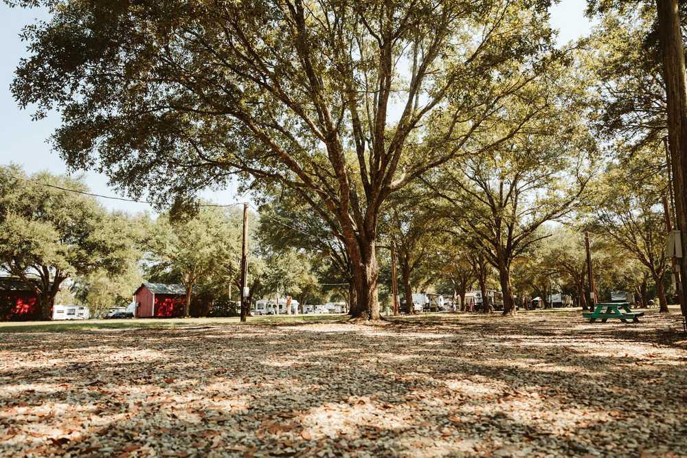 Sweetwater Campground, Ranch & Riding Stables, Loranger, Louisiana - Photo 3