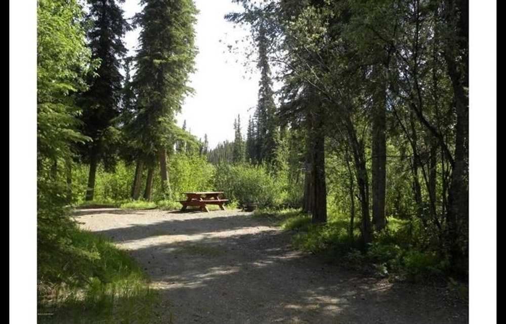 Tolsona Wilderness Campground - Photo 4