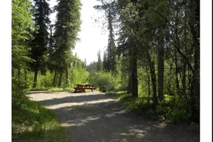 Tolsona Wilderness Campground – photo 4