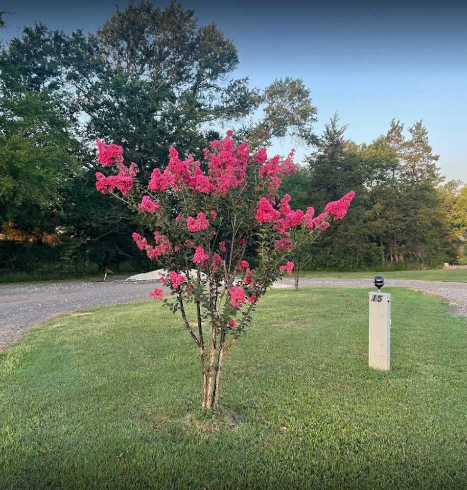The Bluffs RV Park - Photo 4