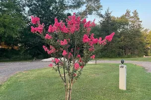 The Bluffs RV Park – photo 4