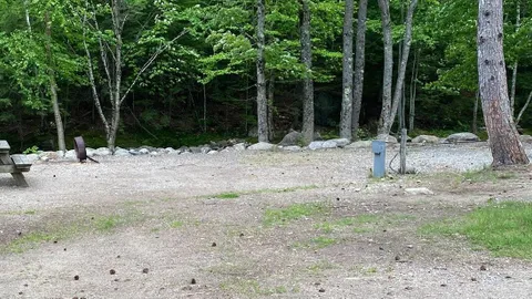 RV- W/E, Economy, Brook Front — image 2 of 5