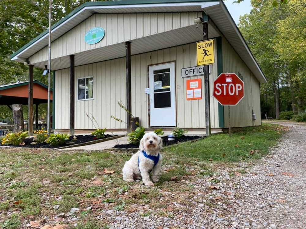 Big Sycamore Family Campground - Photo 5
