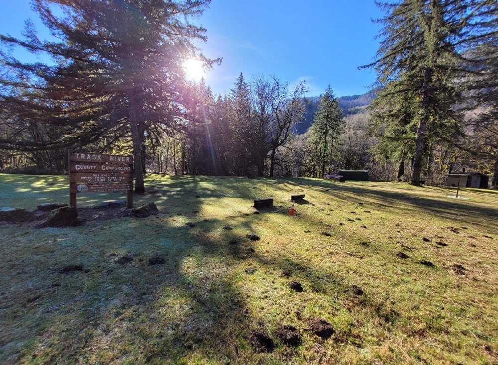 Trask River County Campground, Tillamook, Oregon - Photo 5
