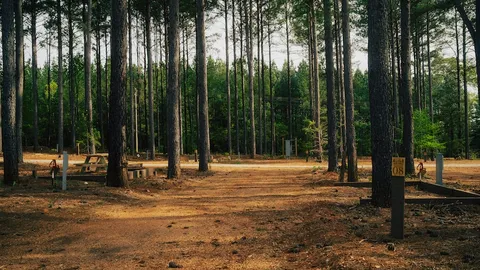 Premium Wooded Pull Through RV Site — image 3 of 3