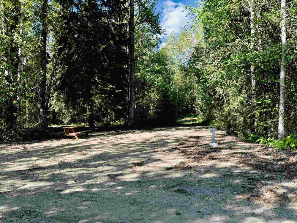 Swift Creek Resort, Valemount, British Columbia - Photo 5