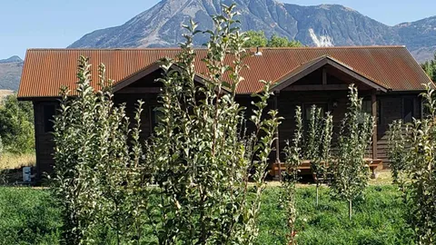 Lamborn Cabin (2 sides) — image 2 of 7
