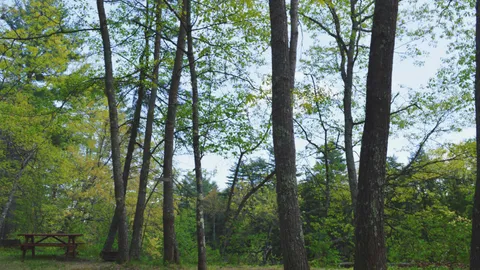Small Riverfront Site — image 2 of 2