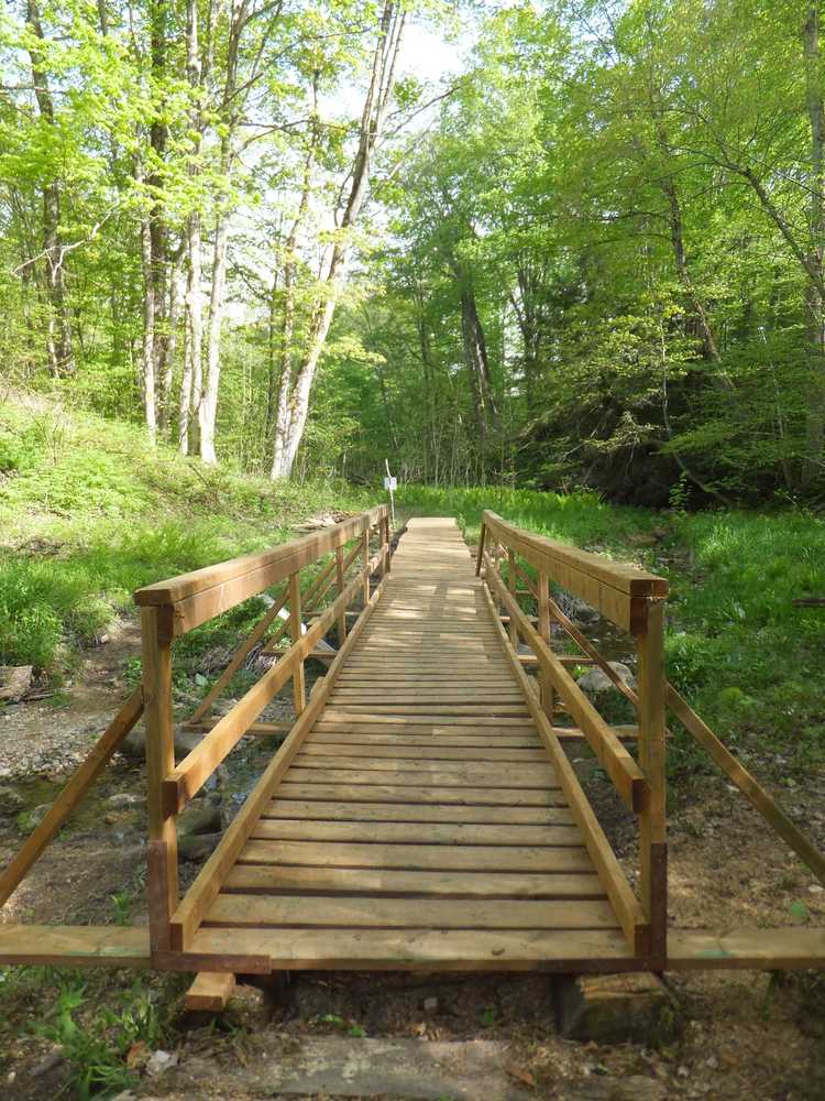 Park Image 6
