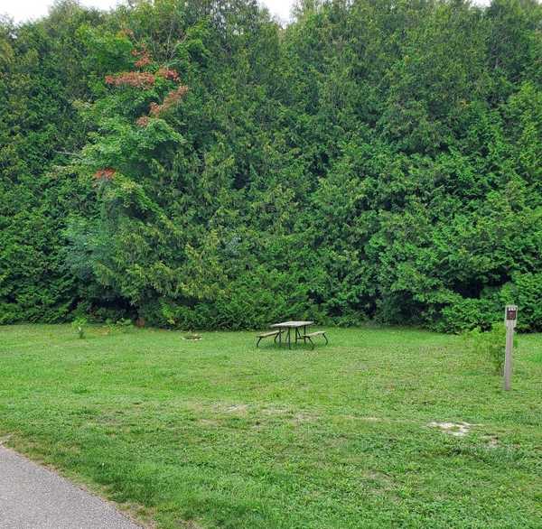 Exciting Announcement