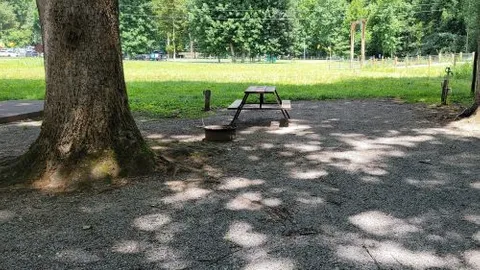 Off River Van - Pop up - Tent Site — image 5 of 5