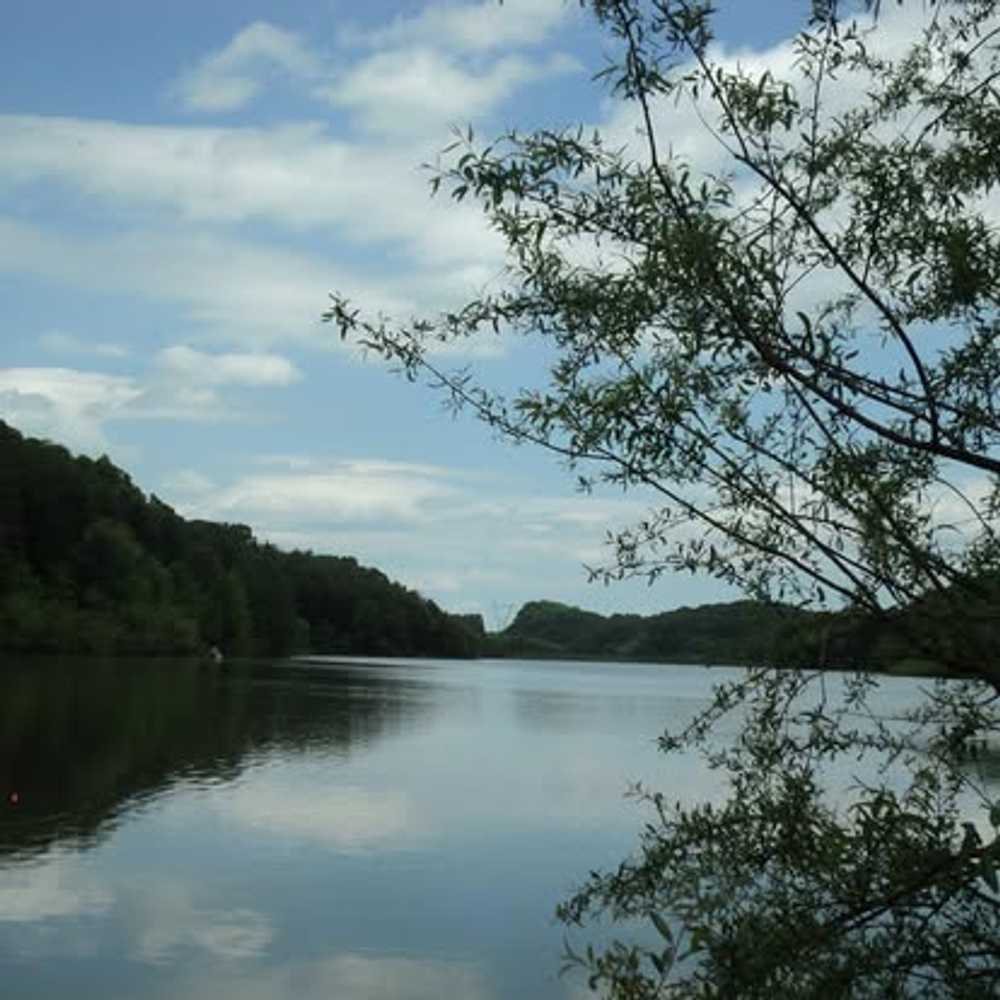 Rural Retreat Campground, Rural Retreat, Virginia - Photo 2