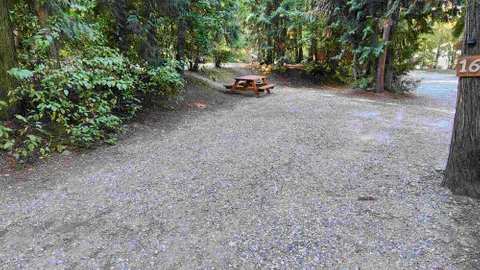 30 Amp + Water RV Site — image 1 of 6