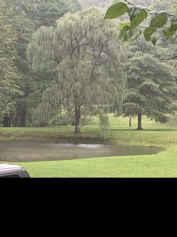 Park Image 13
