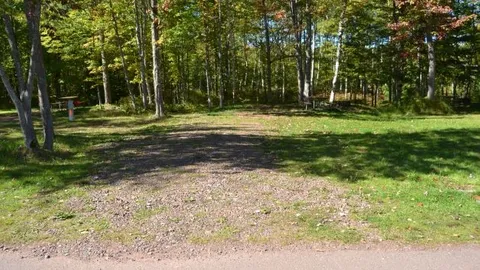 20 Amp Back-In Site, No Water — image 5 of 5